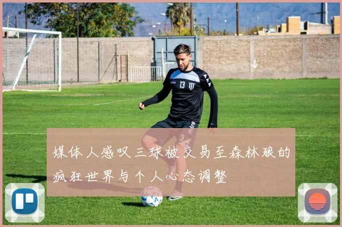 媒体人感叹三球被交易至森林狼的疯狂世界与个人心态调整